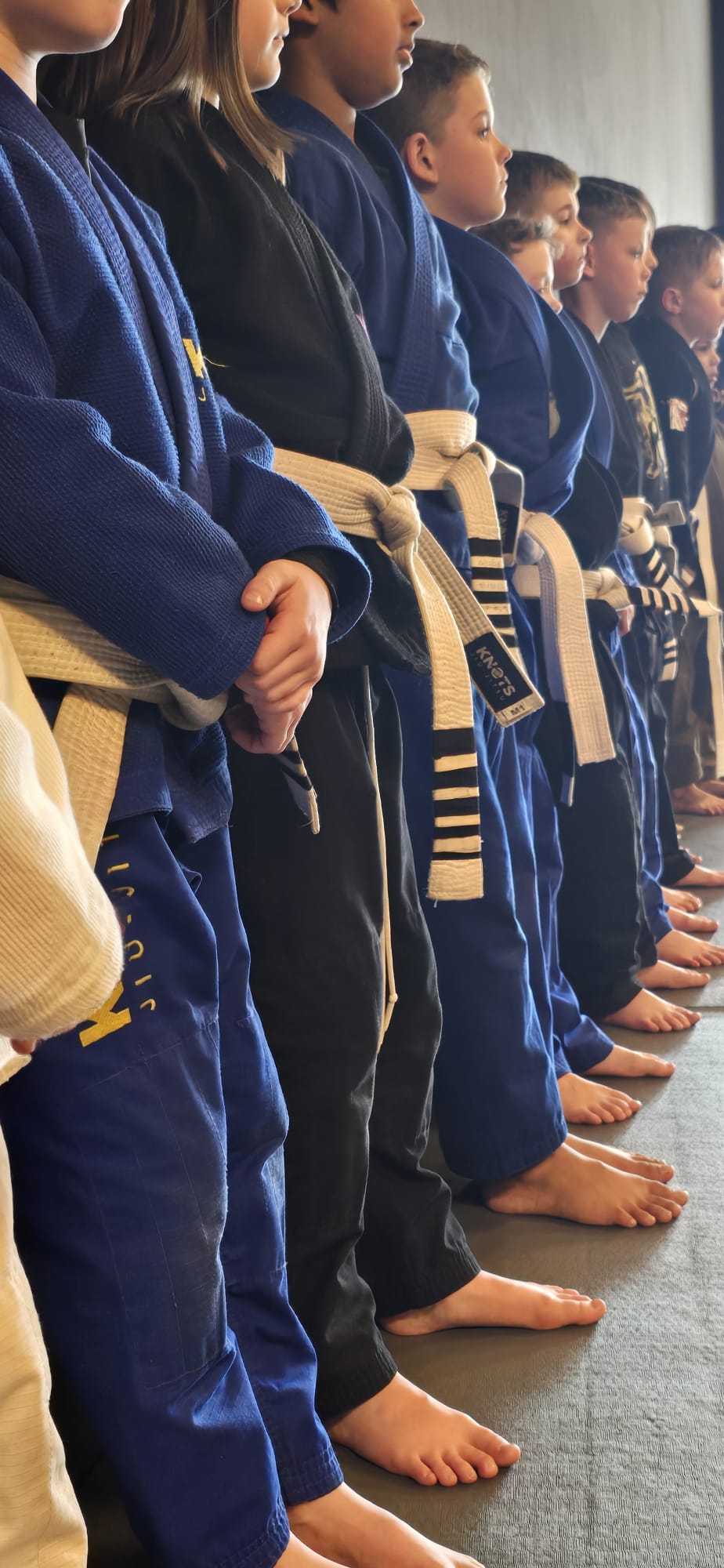 Kids lined up on the mats wearing their white belts at Knots Jiu-Jitsu